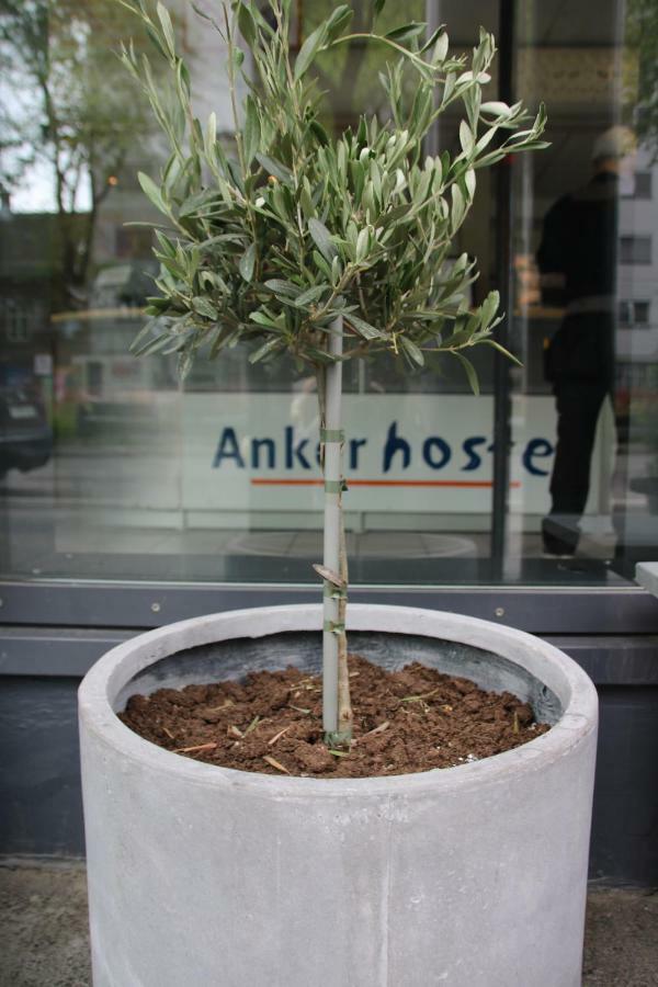Anker Hostel Oslo Luaran gambar